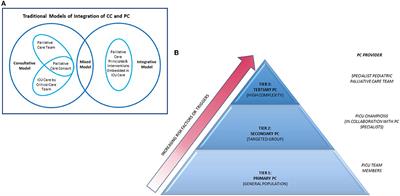 Palliative and Critical Care: Their Convergence in the Pediatric Intensive Care Unit